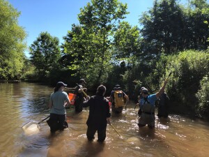 Fish Sampling 2021 Hershey Meadows