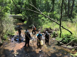 Fish Sampling 2021 SGL 145 Photo 1